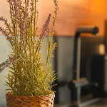 Mit Pool Und Sauna Am Holiday home