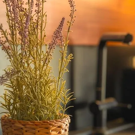 Vakantiehuis Mit Pool Und Sauna Am Dummer