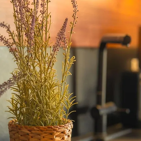 Mit Pool Und Sauna Am Feriehus